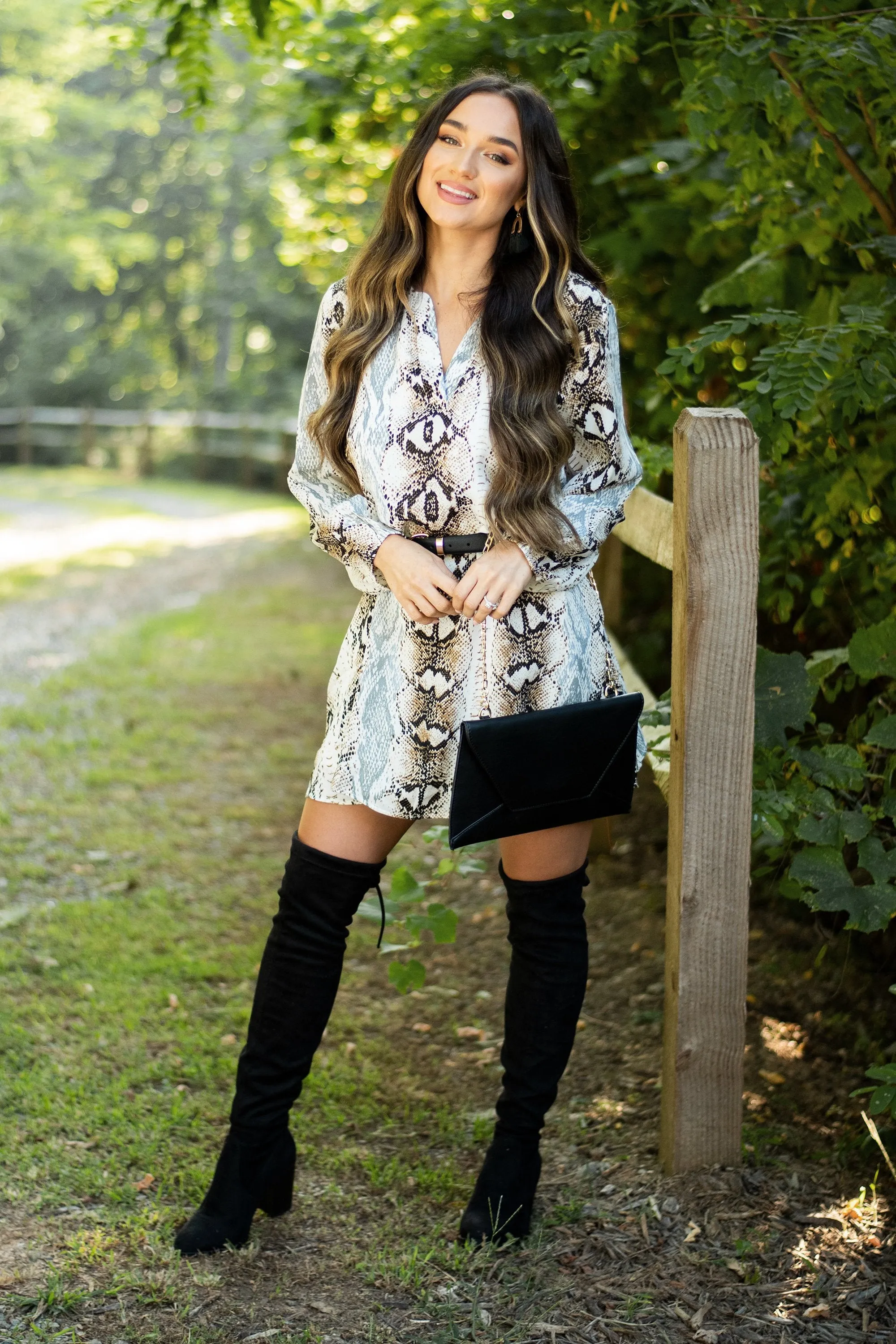 Chic Decisions Gray Snake Print Dress